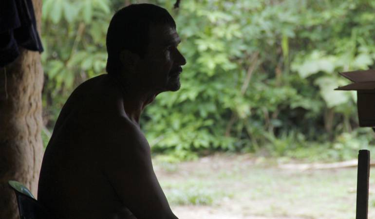 Imagen de referencia