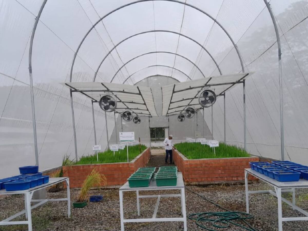 Nuevo Centro de Recurso Hídrico en Espinal, Tolima