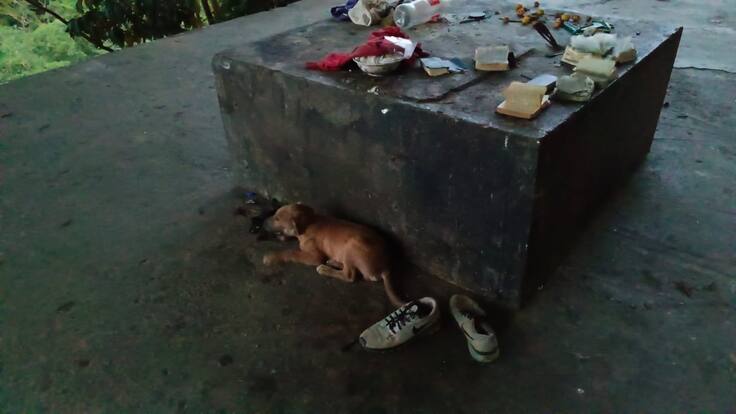 ulio Cesar Ortega, presidente de la Junta de Acción Comunal del barrio Balconcitos