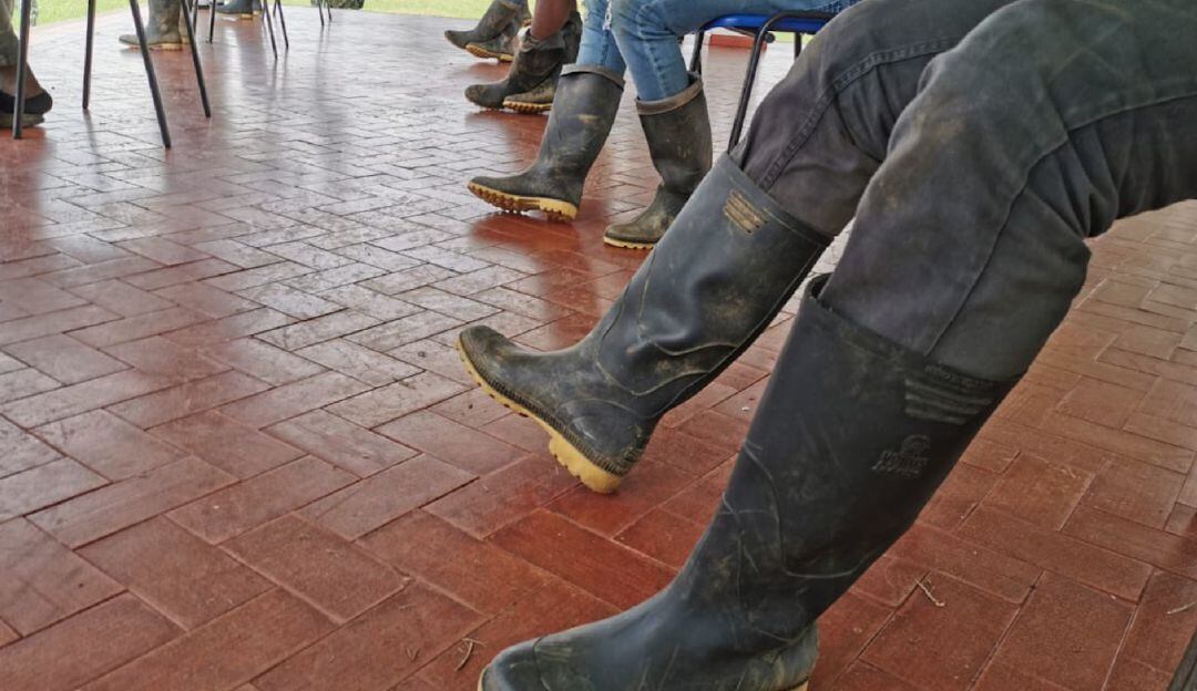 Imagen de referencia