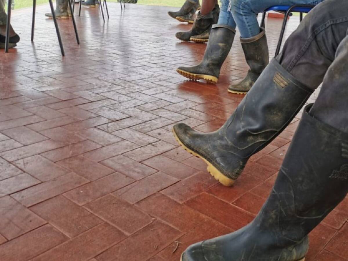 ¿Qué pasó con los excombatientes?