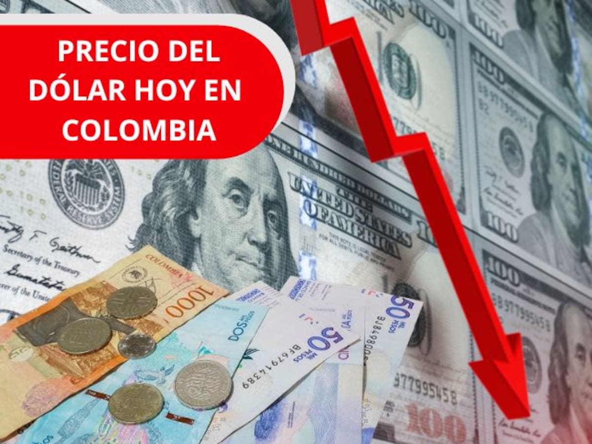 Precio del dólar en Colombia HOY 12 de marzo: hay una nueva baja en la cotización, según BanRep