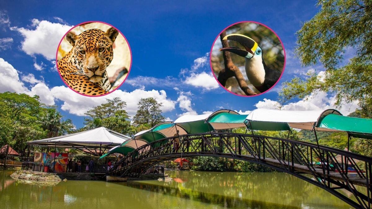 Este es uno de los sitios turísticos más reconocidos en los llanos orientales / @bioparquelosocarros