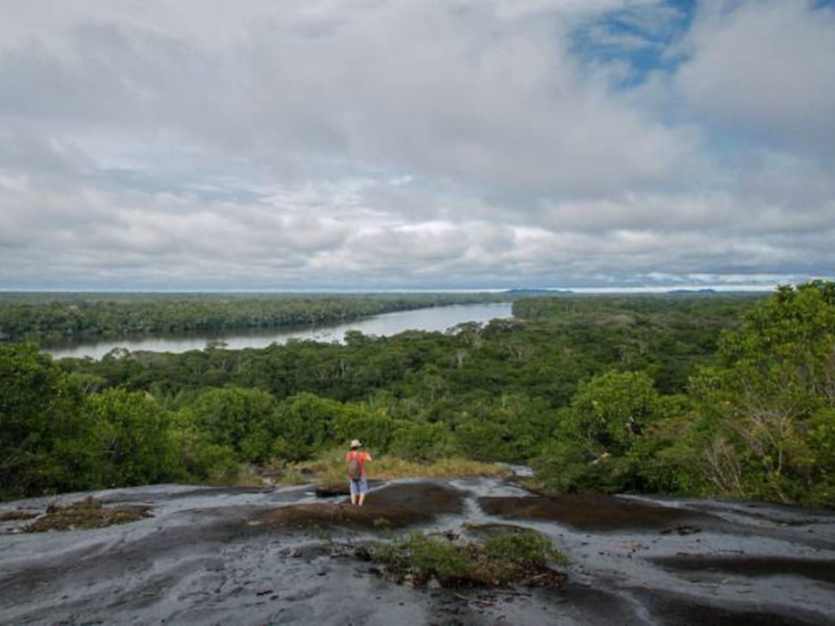 Polémica por normativa que permitiría intervención en reservas forestales