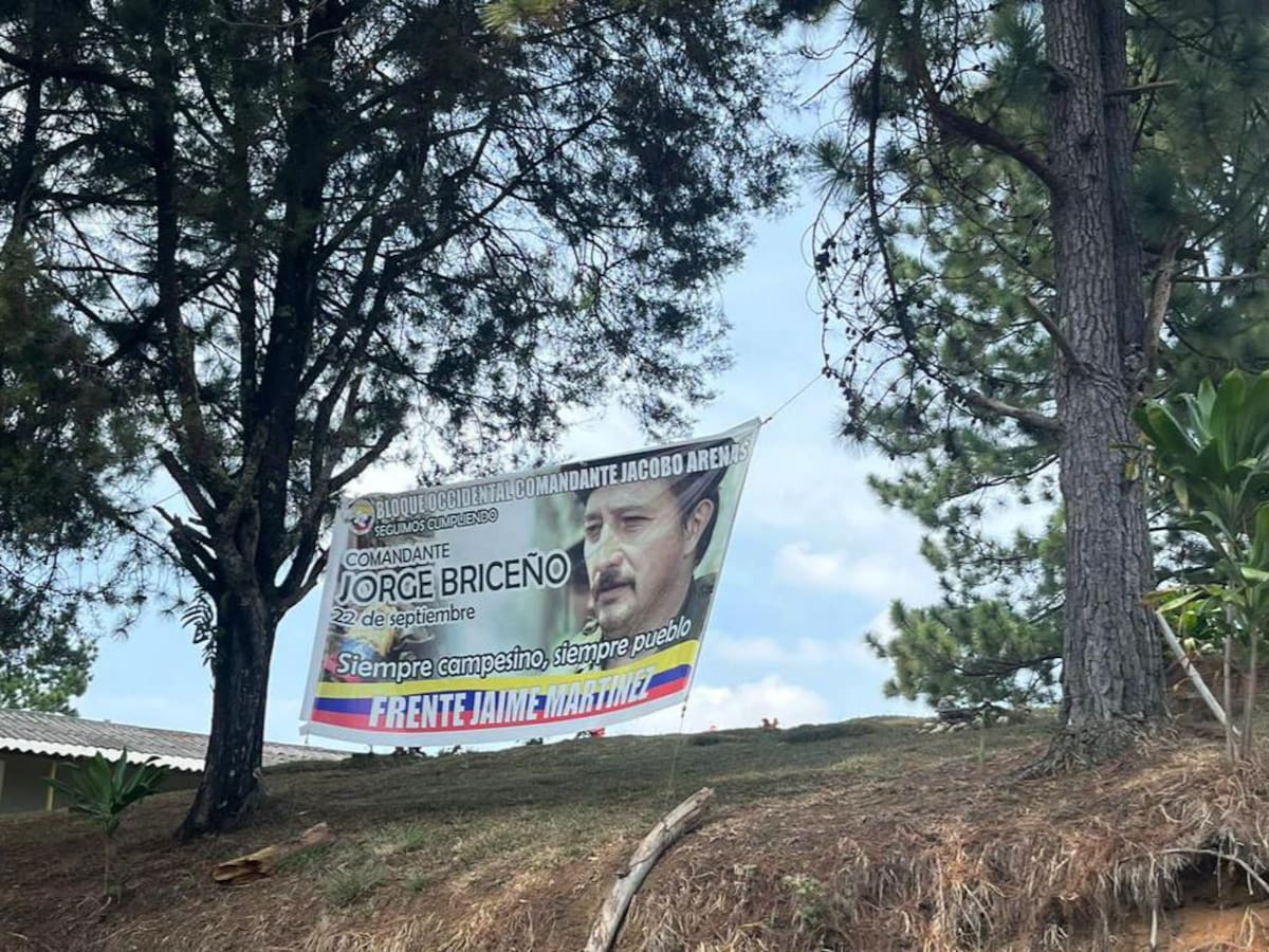 Siguen apareciendo grafitis y panfletos de las disidencias FARC en el Valle