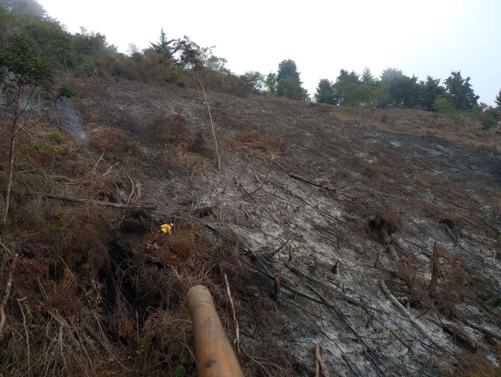 Afectaciones por incendios forestales en Antioquia. Foto: Dagran.