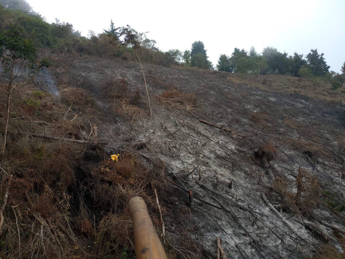 Antioquia solicitó apoyo helicoportado del Ungrd para atender incendio forestal en Peque