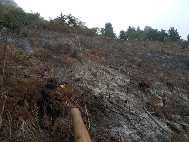 Afectaciones por incendios forestales en Antioquia. Foto: Dagran.