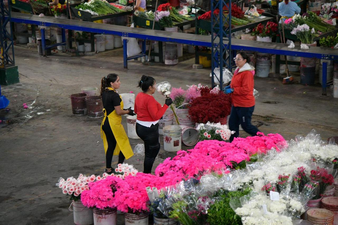 Empresa de flores en Rionegro. Foto: Gobernación de Antioquia