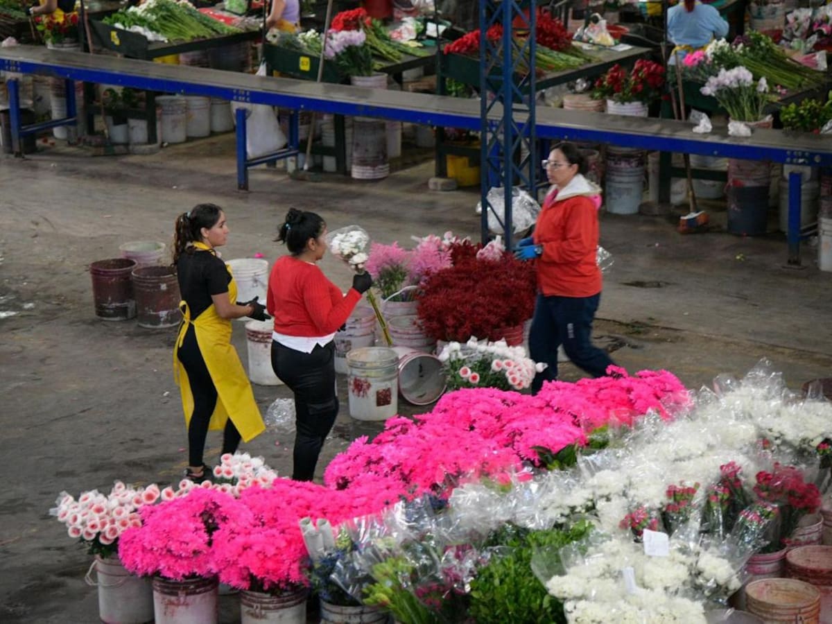San Valentín representa el 17,6% de las exportaciones de flores en Antioquia en 2025