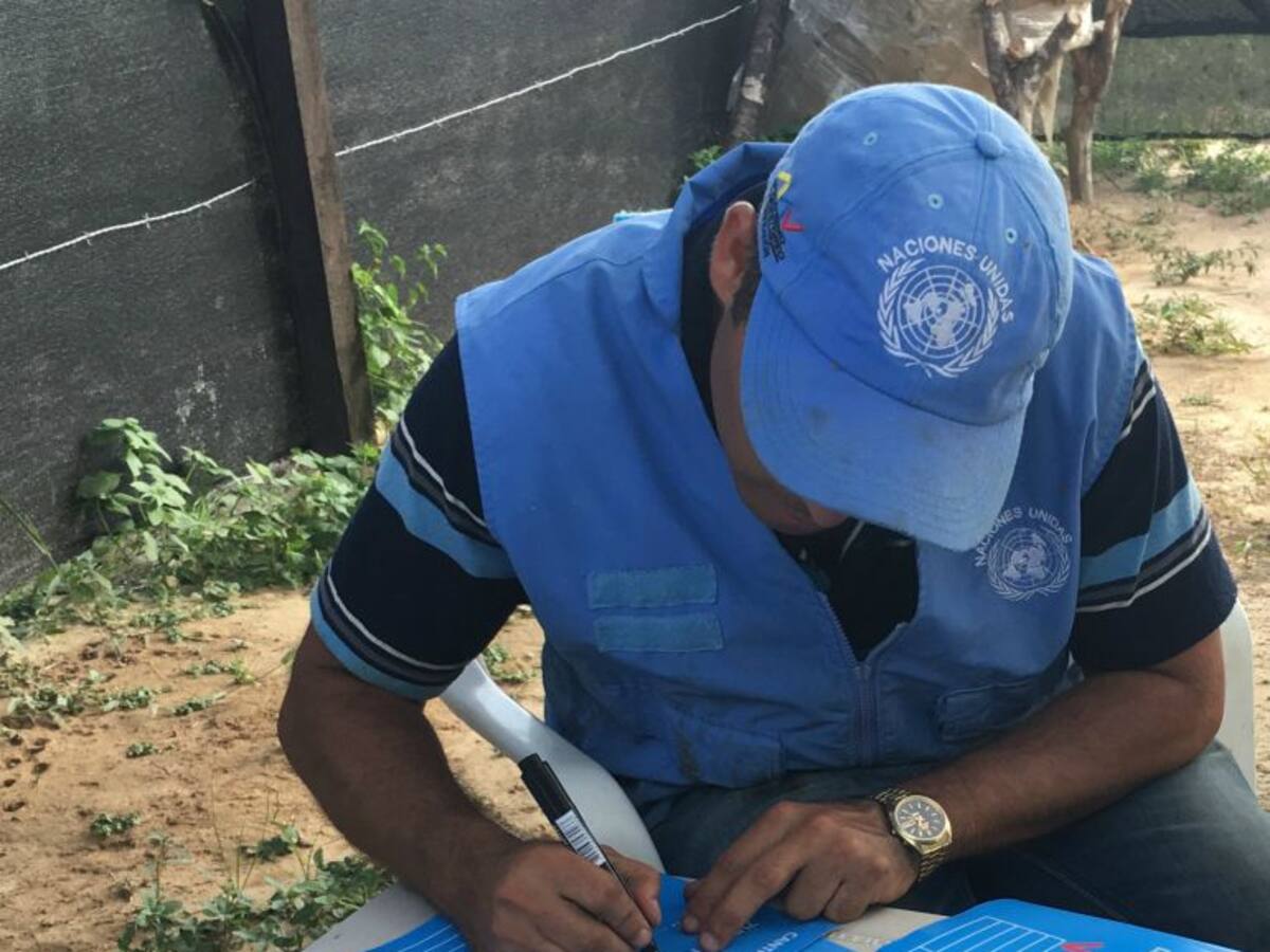 ONU: hay que seguir trabajando en la seguridad de excombatientes