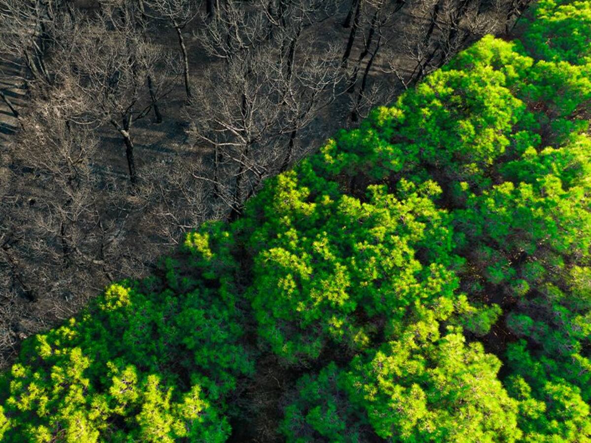 La verdad sobre las quemas: afectan los cultivos y empobrecen el suelo