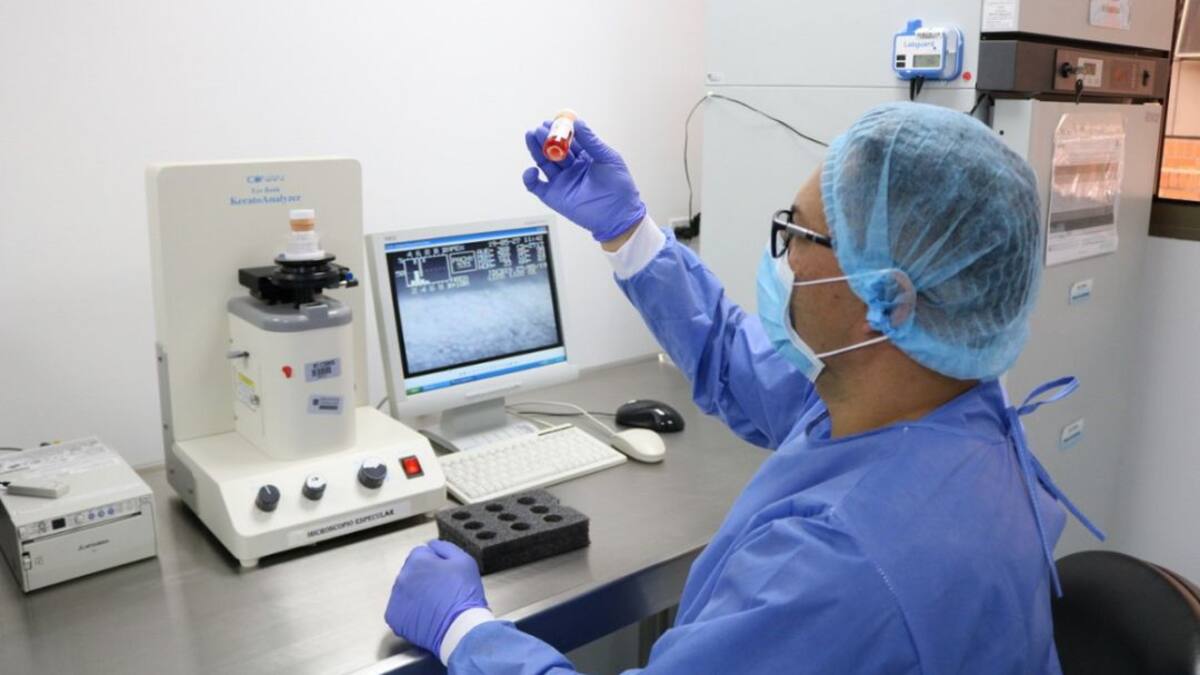 MinCiencias apuesta a la reactivación económica con jóvenes investigadores