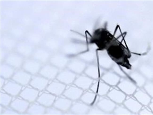 Autoridades detectan nuevas formas de propagación del Chikungunya