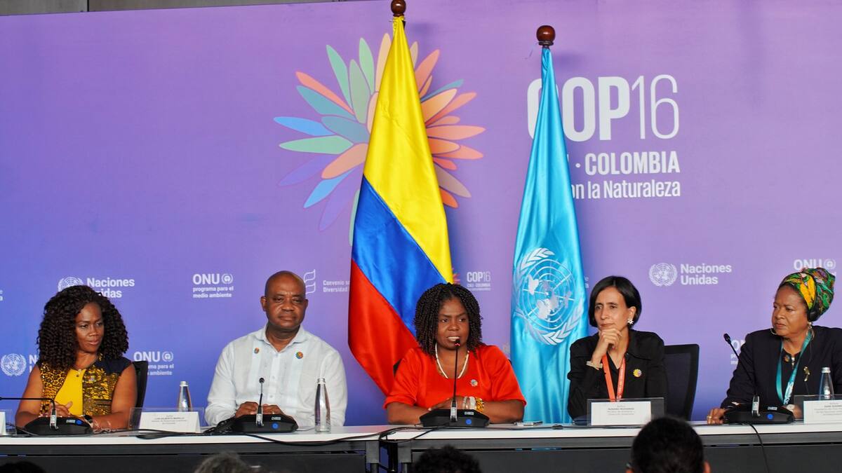 En la COP16 Colombia y Brasil buscan reconocimiento de la categoría “Afrodescenciente”
