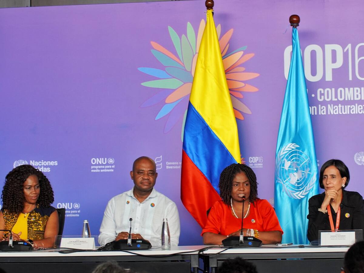 En la COP16 Colombia y Brasil buscan reconocimiento de la categoría “Afrodescenciente”