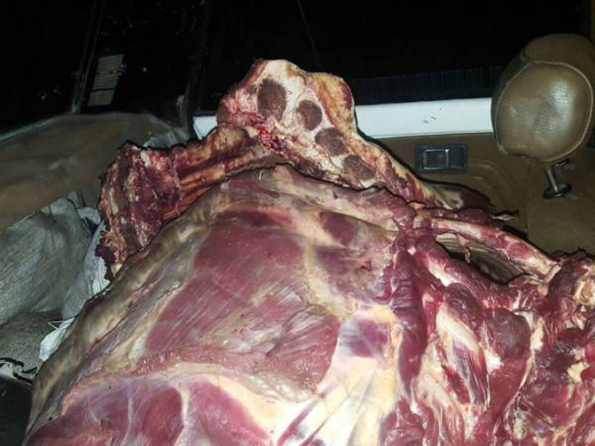 Capturan a funcionarios de ICA por contrabando de carne desde Venezuela