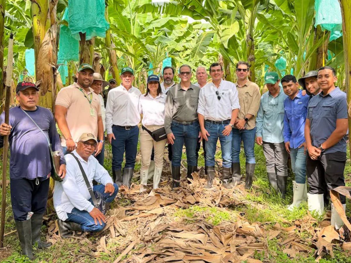 Magdalena prepara medidas para garantizar agua al sector agrícola ante posibles efectos de El Niño