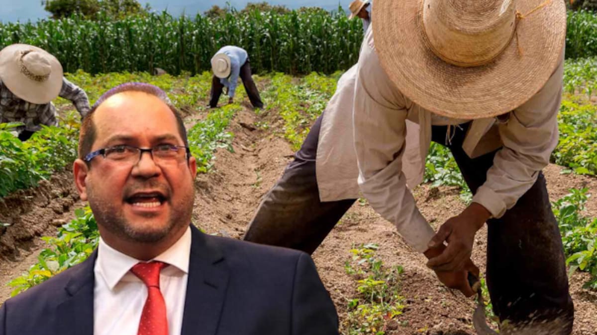 Lidio García anuncia que agendará Jurisdicción Agraria en primer punto para debatir en plenaria