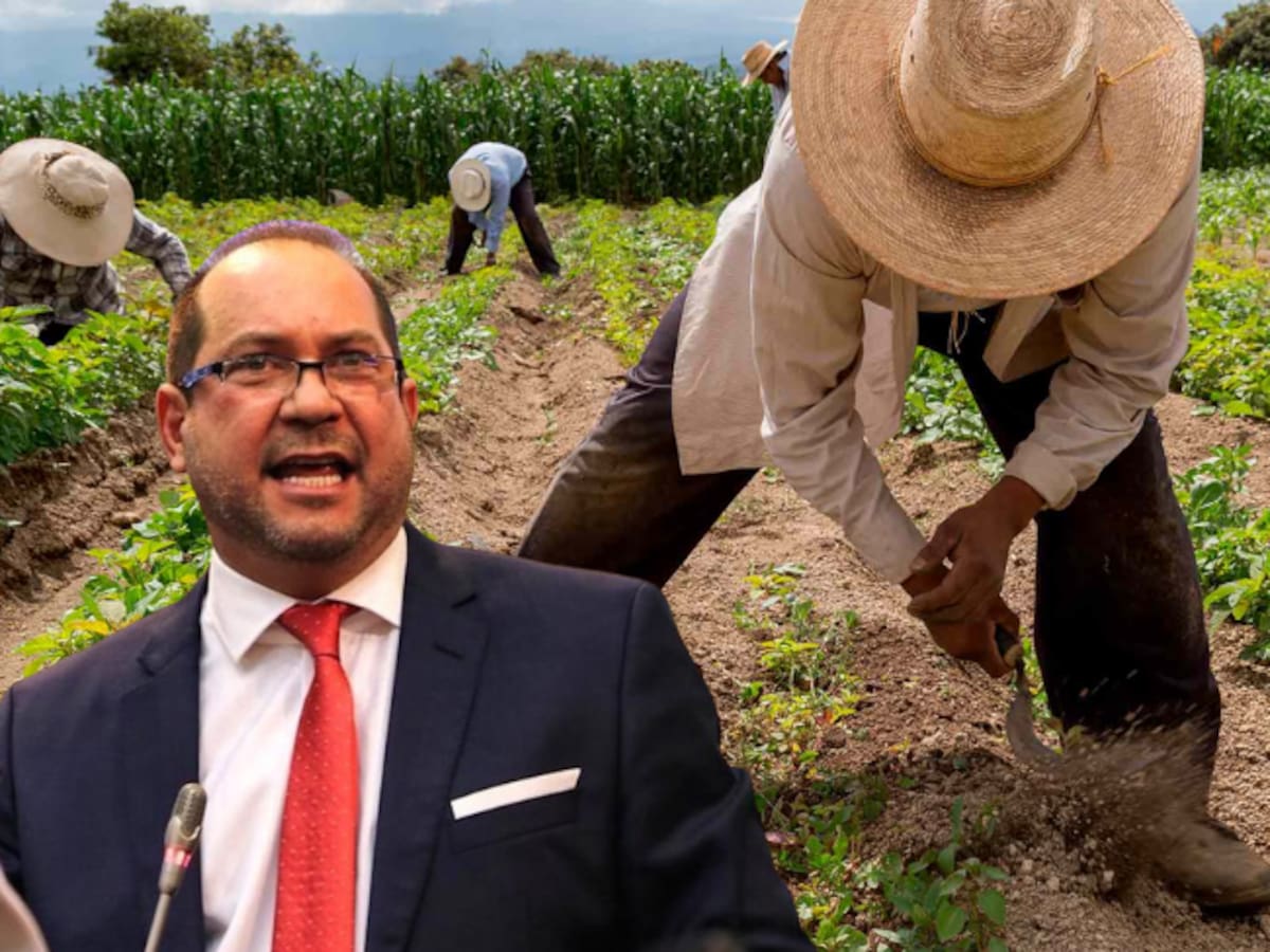 Lidio García anuncia que agendará Jurisdicción Agraria en primer punto para debatir en plenaria