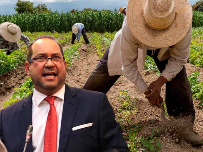 El presidente del Senado se pronunció sobre la Jurisdicción Agraria. / Foto: Suministrada