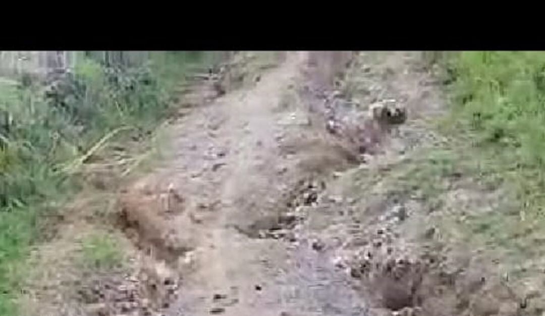 Vereda Alto de Juntas, Alvarado - Tolima 