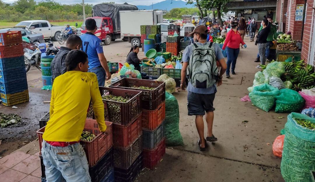 Comerciantes empiezan a traer alimentos de Ecuador, entre ellos el plátano.