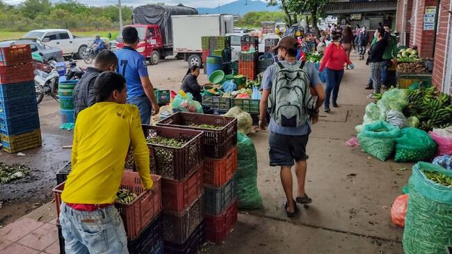 Comerciantes empiezan a traer alimentos de Ecuador, entre ellos el plátano.