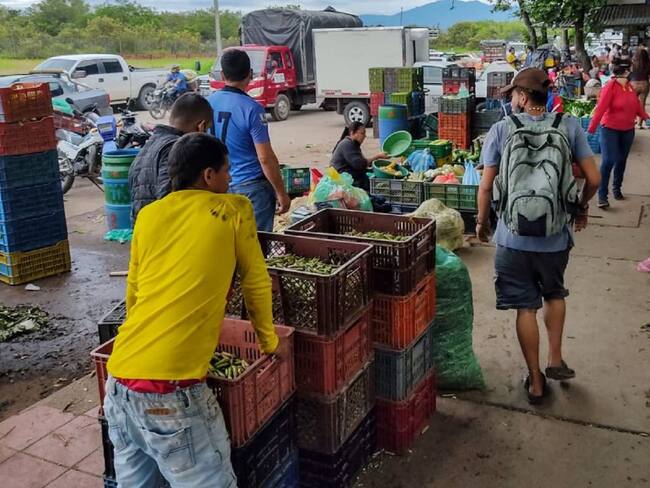 Comerciantes empiezan a traer alimentos de Ecuador, entre ellos el plátano.