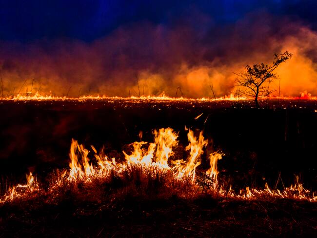 Imagen de referencia de incendio forestal. Foto: Getty Images.