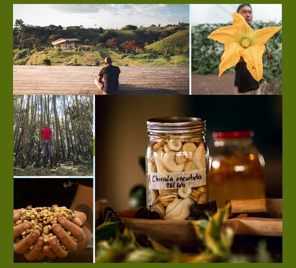El Bar Alquímico utiliza productos de la casa finca y de productores que viven cerca a Cartagena como los Montes de María. 