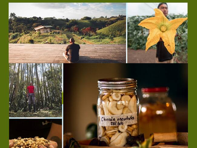 El Bar Alquímico utiliza productos de la casa finca y de productores que viven cerca a Cartagena como los Montes de María.