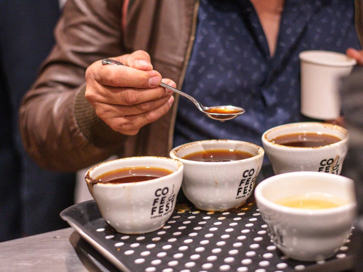 Este viernes inicia feria del café ‘Tolima en el Corazón de los Andes’