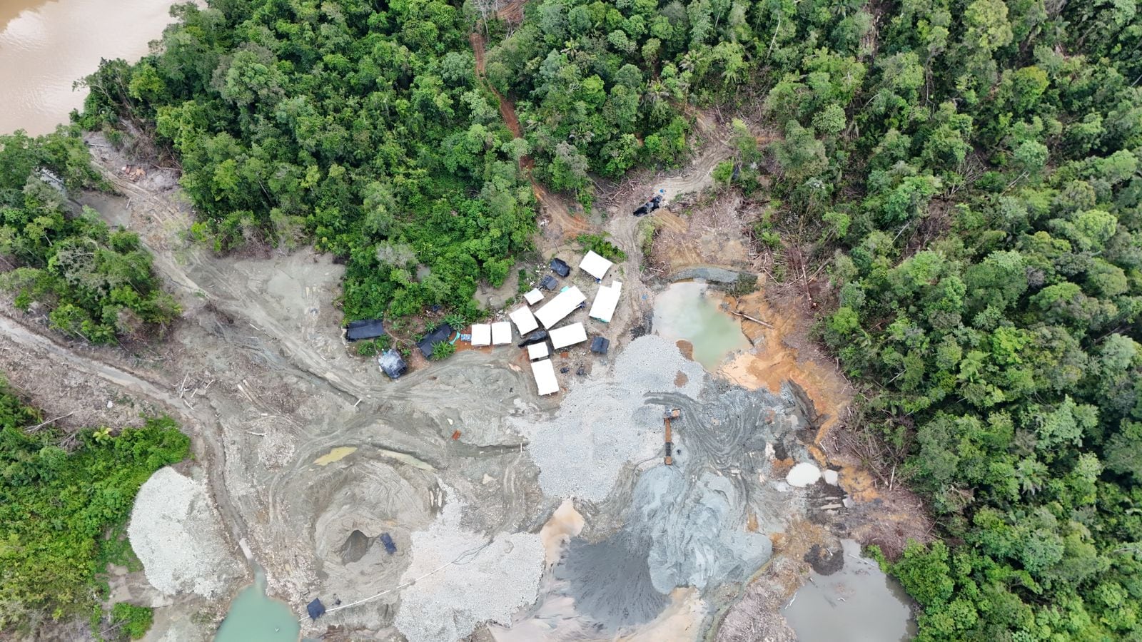 Los hechos se registraron, tras dos minuciosas operaciones en el sector de San José de Gaure de la localidad en mención. Crédito: Armada Nacional.