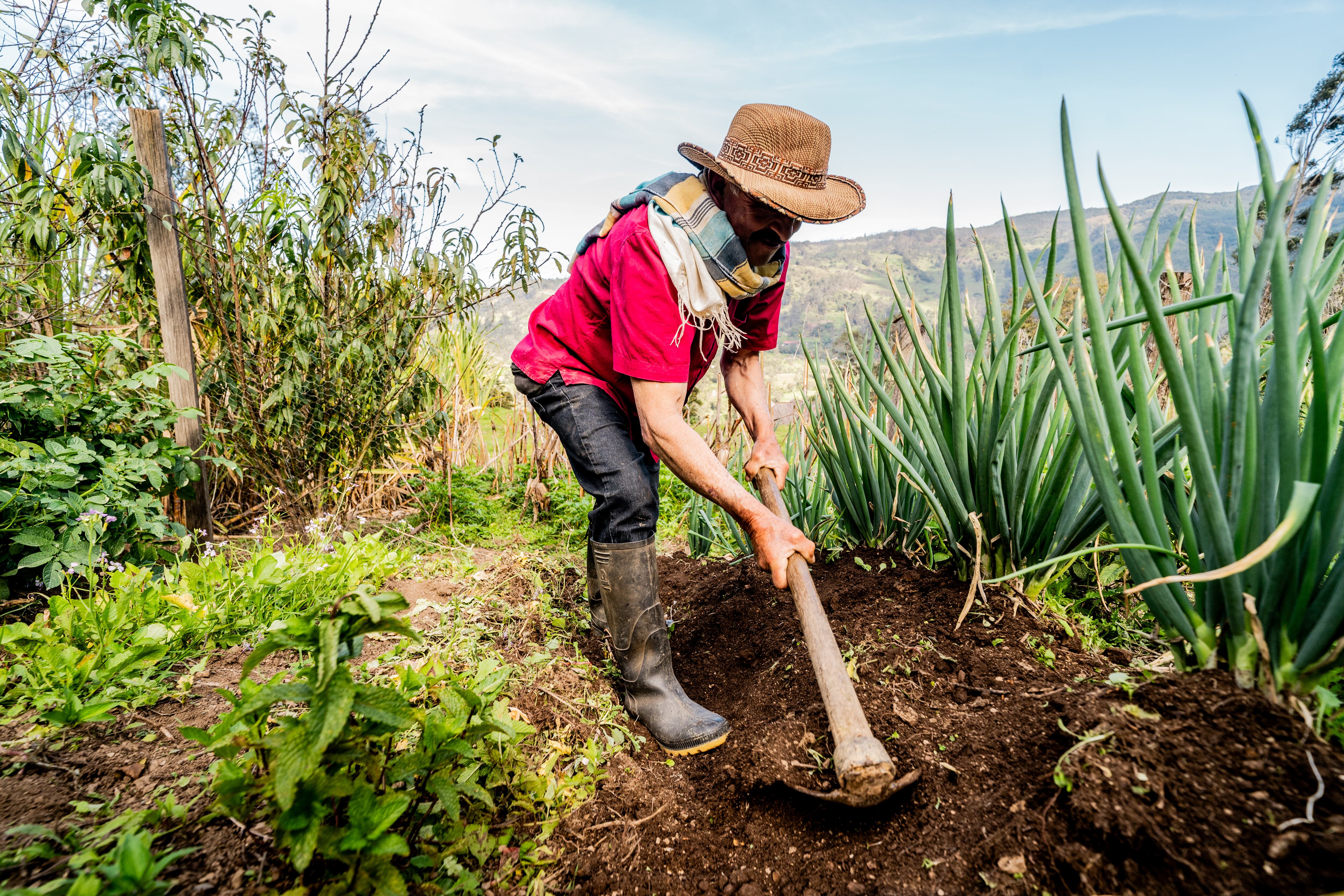 | Foto: Getty Images
