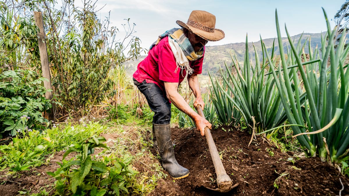 La seguridad alimentaria empieza donde hay desarrollo rural