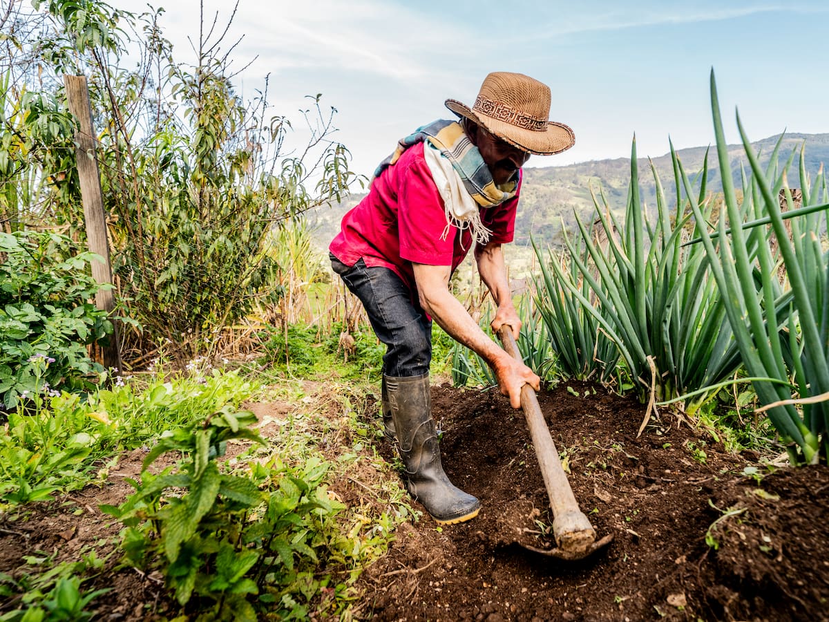 La seguridad alimentaria empieza donde hay desarrollo rural
