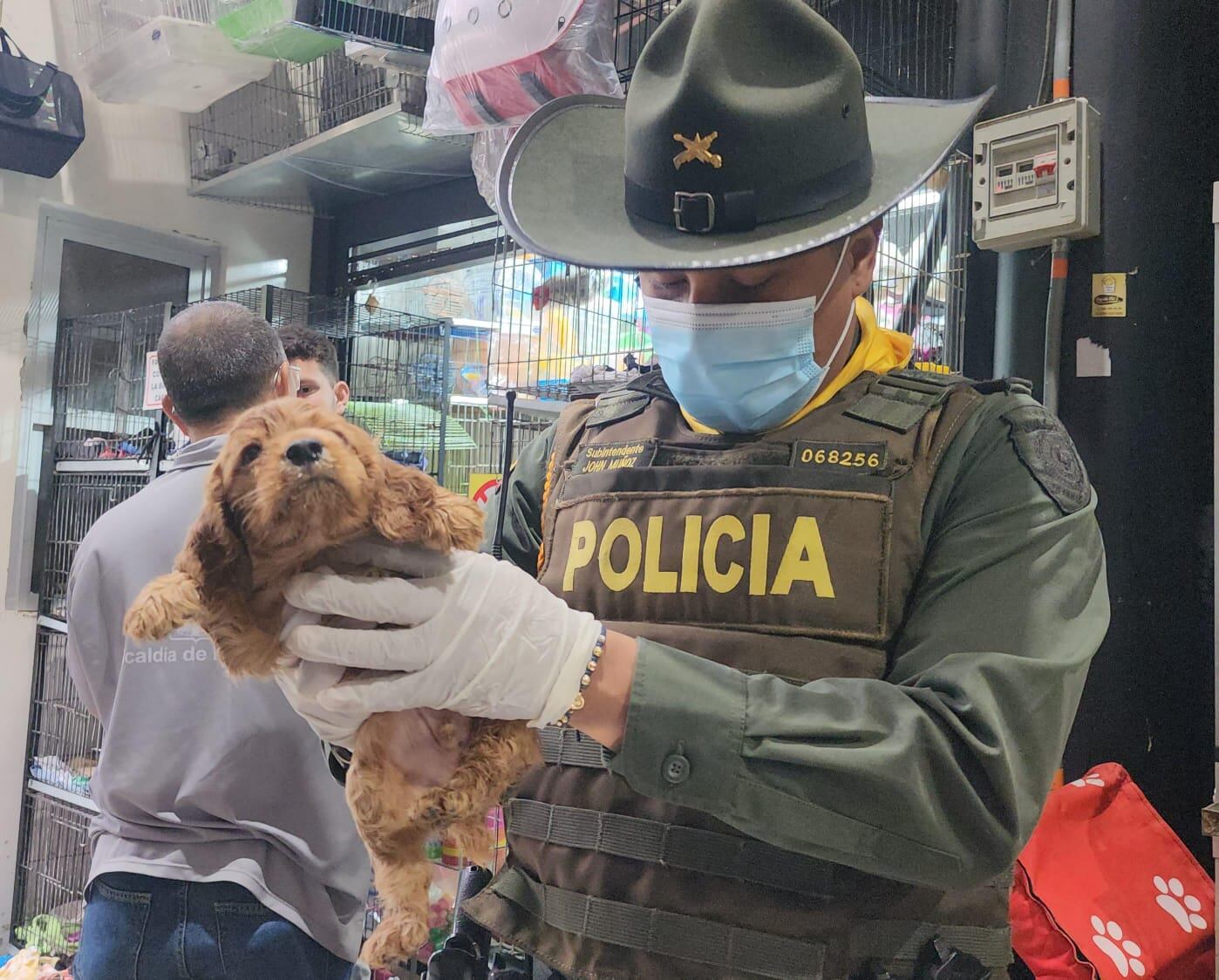 Operativos ejecutados por las autoridades para prevención del maltrato animal. Foto: cortesía policía