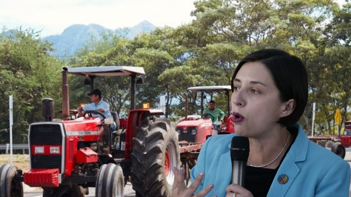 Minagricultura pone condiciones para negociar con arroceros: pide movilidad en Tolima, Huila y Meta