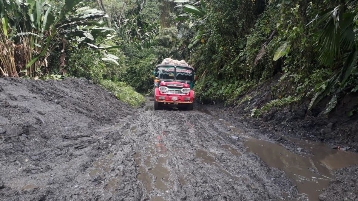 Productores de guayaba se declaran en crisis
