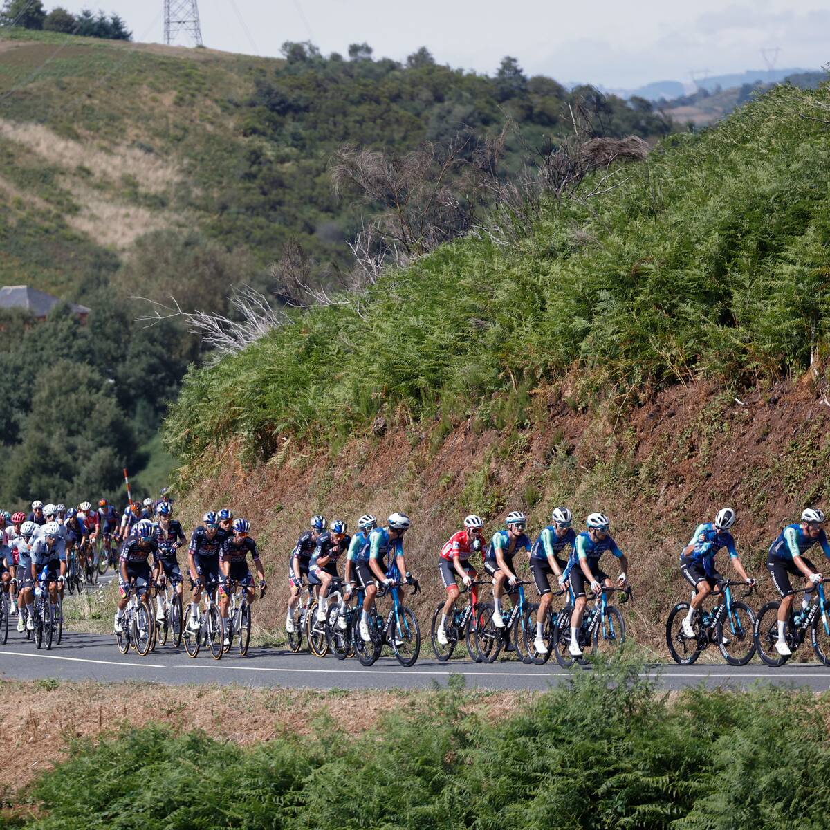 🔴 Etapa 14 EN VIVO Vuelta a España 2024: Tejada, Ben O’Connor, Nairo Quintana y más