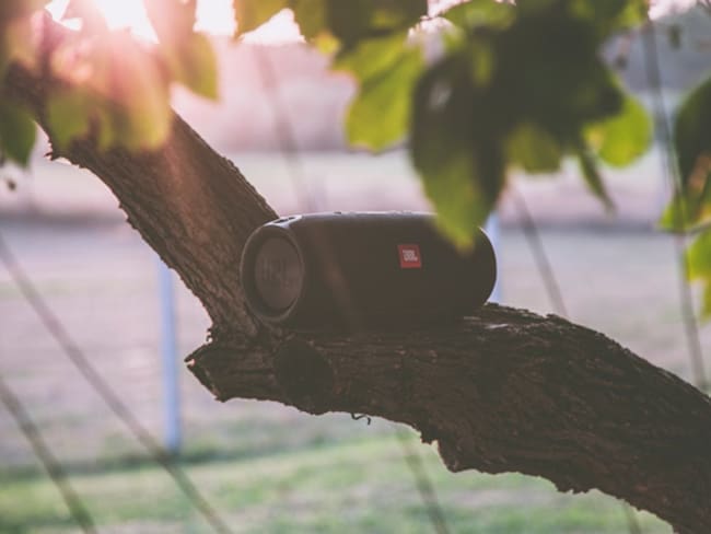 Cómo elegir el parlante ideal: ventajas de modelos potentes como la JBL Boombox
