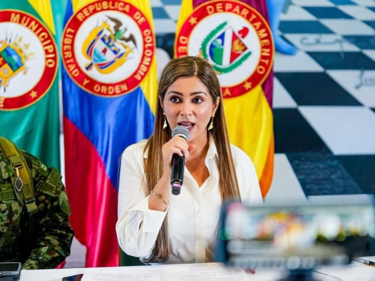 Gobernadora del Tolima pide medidas ante posible corrupción en Policía y Ejército por minería ilegal