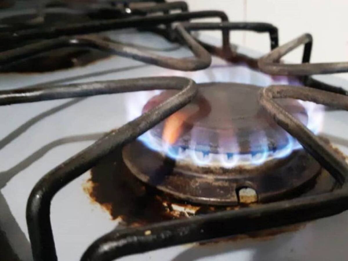 Alivios para el pago de facturas de energía y gas de julio anunció MinMinas