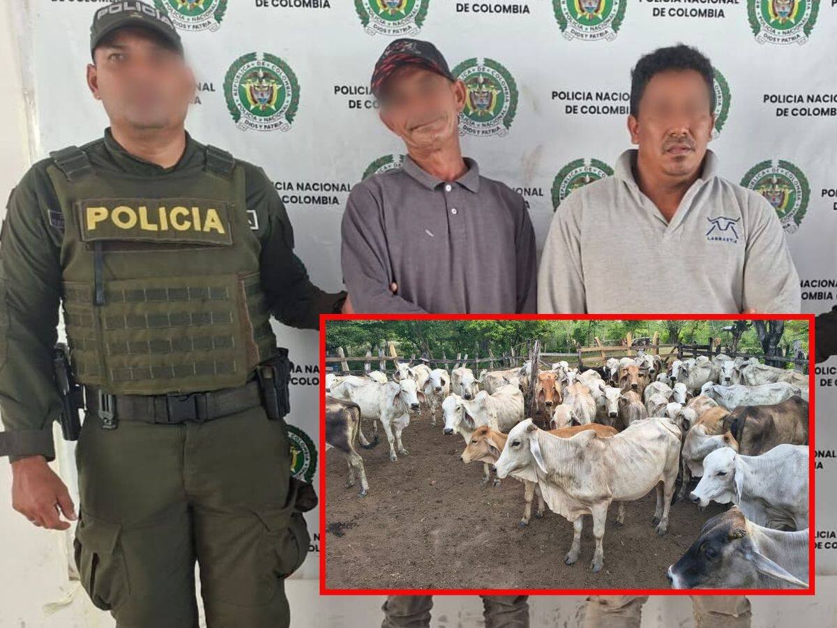 Crítico panorama por el abigeato en Sucre: 2 capturados y 64 reses recuperadas