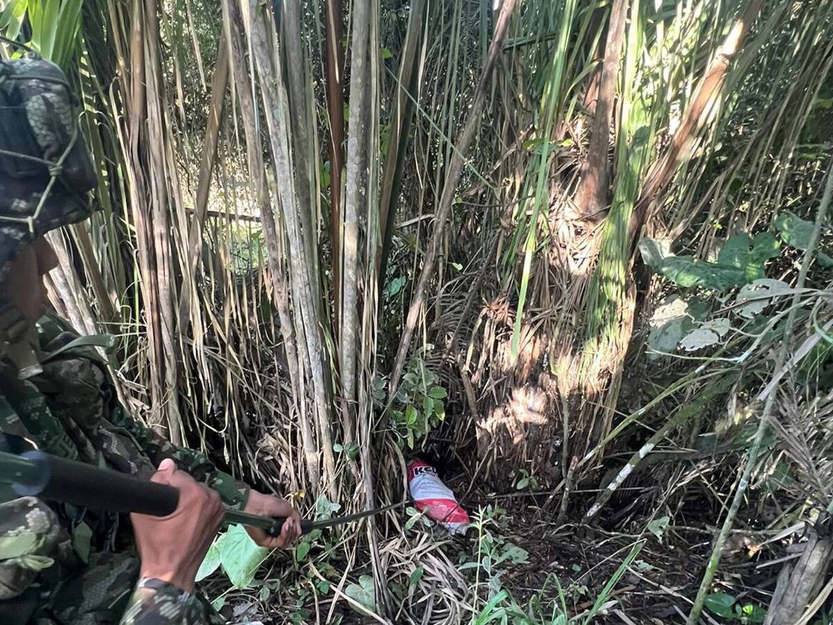 Destruyen explosivos con los que las disidencias iban a atacar a militares en el Tolima
