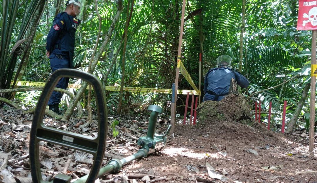 La aplicación de tres técnicas de manera simultánea acelerara el desminado en el Meta. 