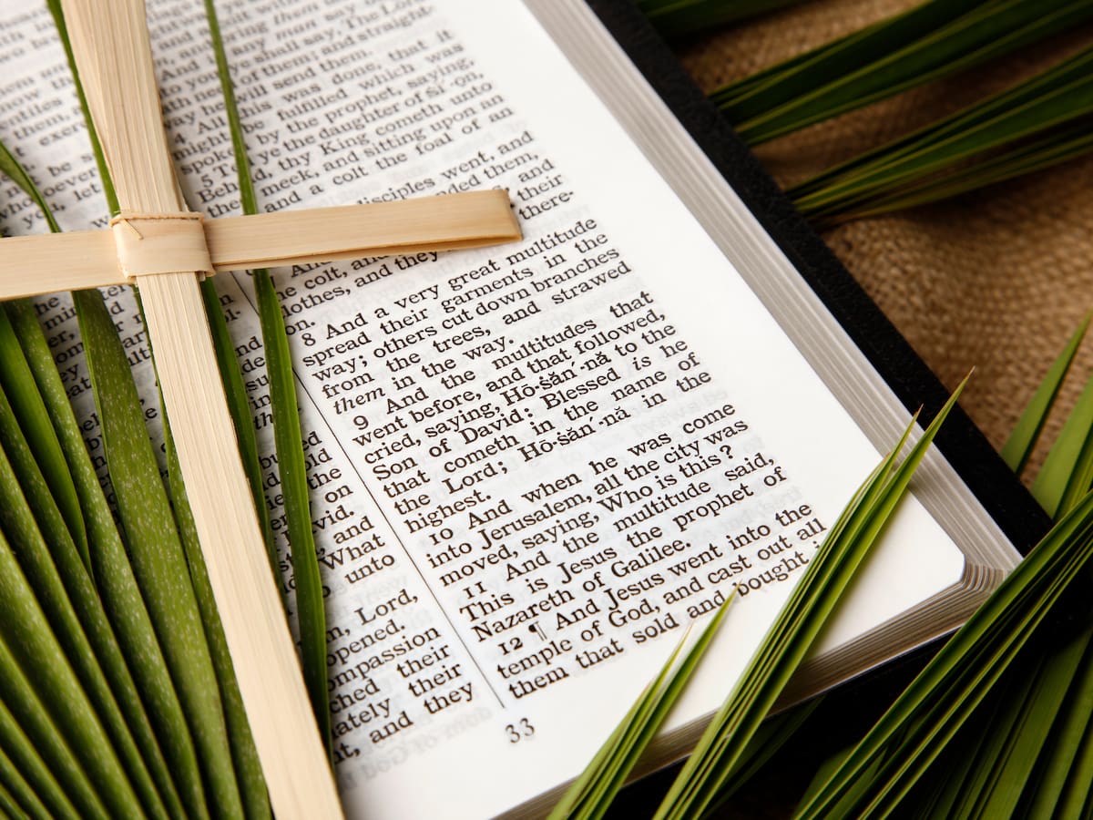 ¿Cuál es el verdadero significado del Domingo de Ramos? Origen de las palmas, evangelio y más