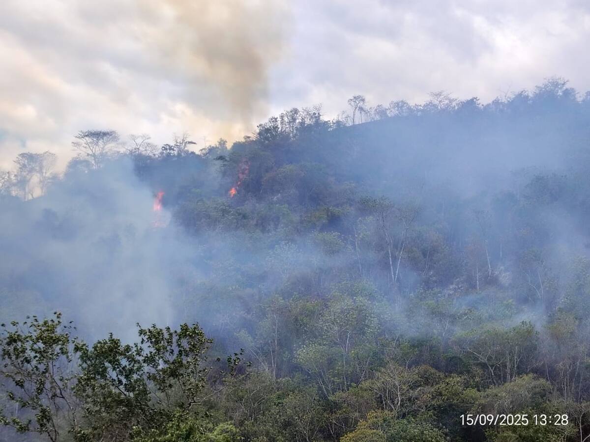 CAR alerta: incendios forestales arrasaron 74 hectáreas en Cundinamarca y amenazan biodiversidad