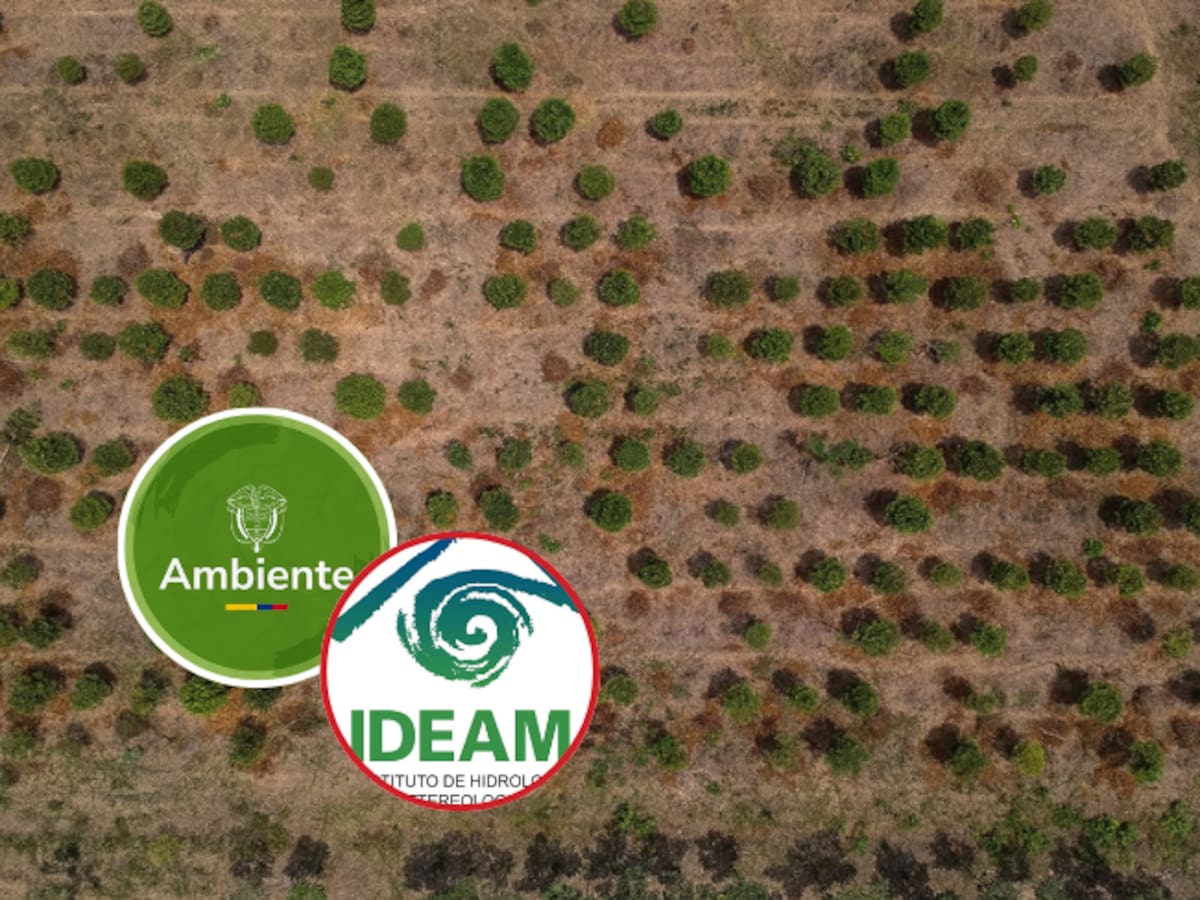 IDEAM alerta por posible fenómeno de El Niño: ¿qué regiones de Colombia podrían verse afectadas?